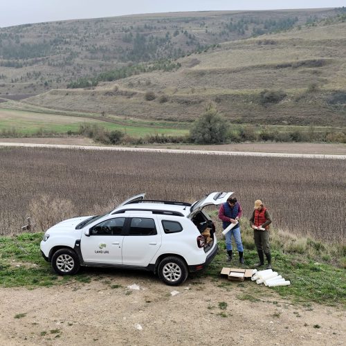 coche-landlife.jpg